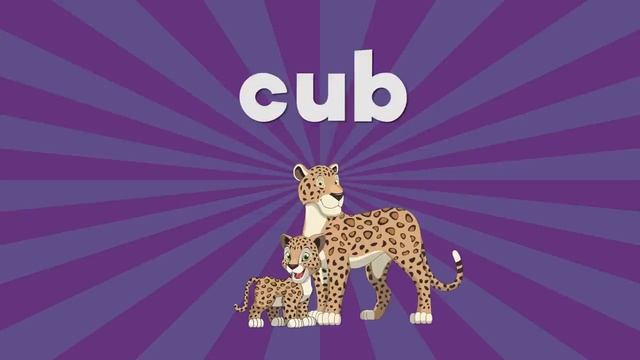 CVC Words | Letter U | Consonant Vowel Consonant | Phonics Song | Jack Hartmann