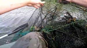 Рыбалка на карася и линя на морды.