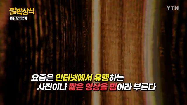 [짤막상식] I am 밈(Meme)? / YTN смотреть онлайн