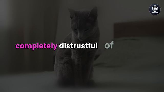 She Pleaded With Me Not to Leave, Explaining Her Desire to Try Being With Someone, Audio Story смотреть онлайн