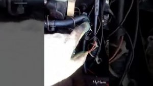 Замена воздушного и салонного фильтра на Т4,фольцваген,ответы на вопросы