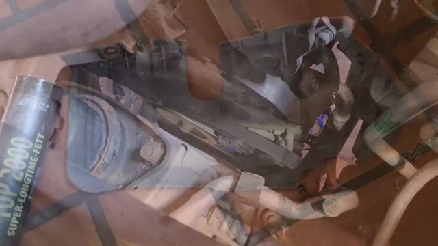 Чистота для каждого