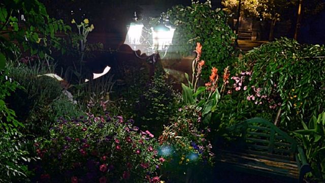 ВОСПОМИНАНИЯ Сл. Михаила Крупенькина, муз. и исп. Александра Ломтева смотреть онлайн