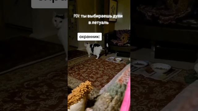 Вас тоже они смущают? смотреть онлайн