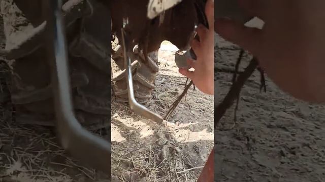 грядки для клубники