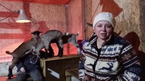 Стаж козоводства 15 лет