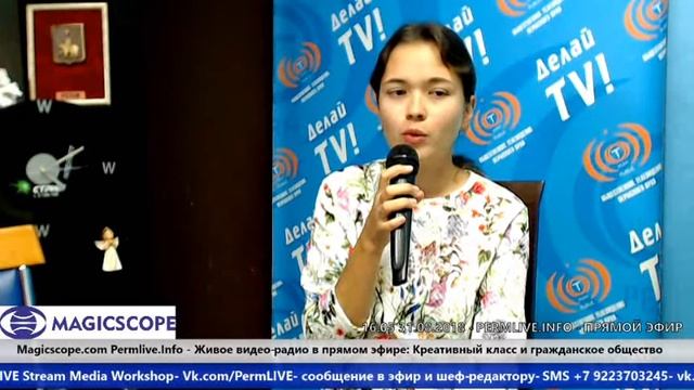 О проекте ЭКОДВОР на Пролетарке.Пермь - Александра Перминова, организатор смотреть онлайн