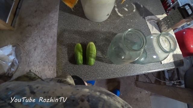 ЖИВЫЕ БАКТЕРИИ ЭКСПЕРИМЕНТ ЧАСТЬ 1
