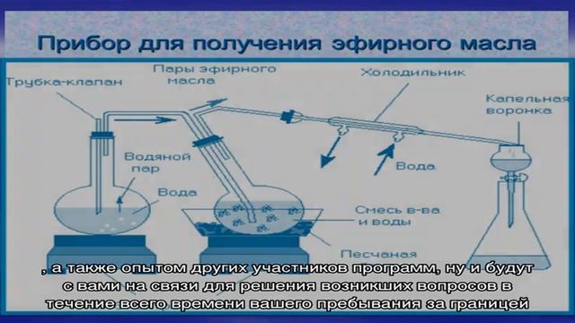 Как оформить стажировку за границей? смотреть онлайн