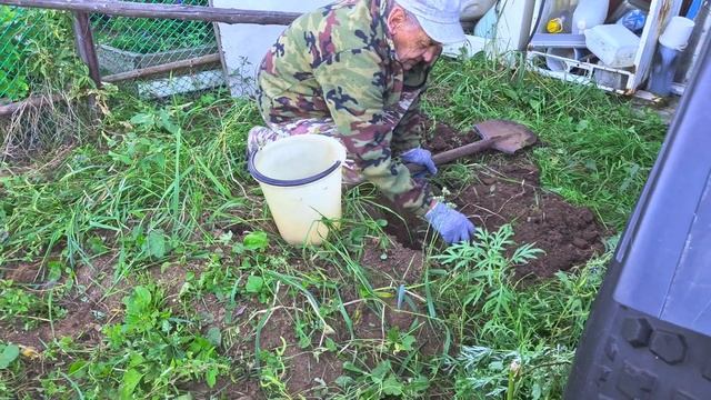 9.09.2023 Хабаровский край.Советская Гавань. Вездеход " ЛитЛ ". И домашние хлопоты ? смотреть онлайн