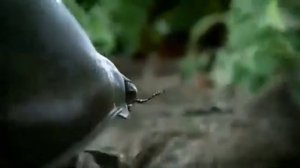 Реклама Фольксваген Жук