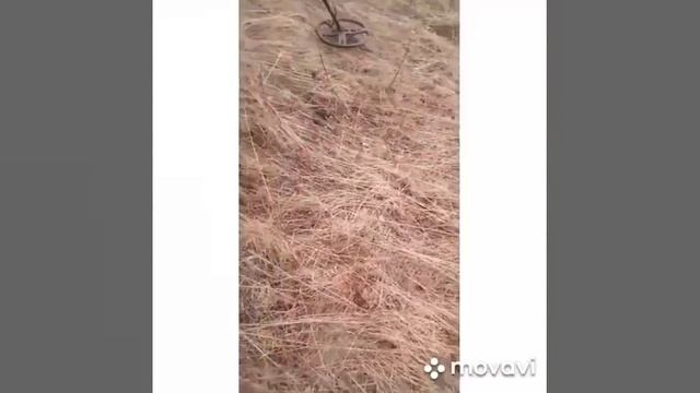 Коп 2020....шнива спасает УАЗ... смотреть онлайн
