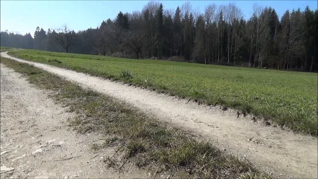 LandFilms TV Kanal Trailer смотреть онлайн