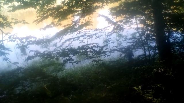 Рыбалка острогой Краснодарский край