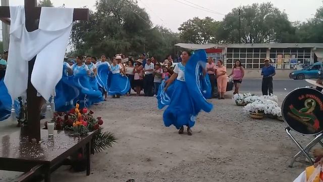 Señor Santa cruz смотреть онлайн