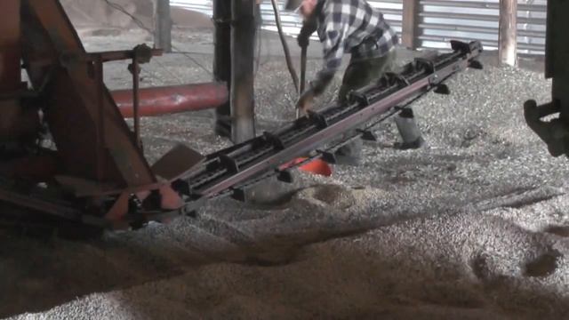 Очищение гороха. Пыль и радость от урожая.  14. 08. 2019