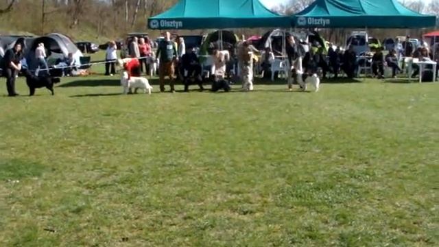 MOV08814 ВЫставка в Добре място.01.05.2013 .Польша смотреть онлайн