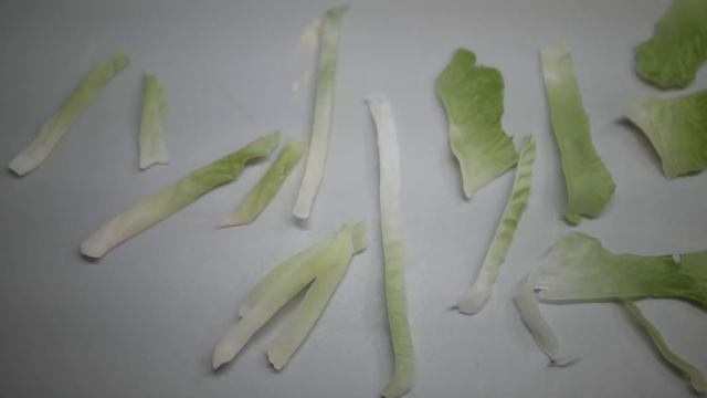 How To Make The Creepiest Hamburger Diorama / Polymer Clay / Epoxy resin смотреть онлайн