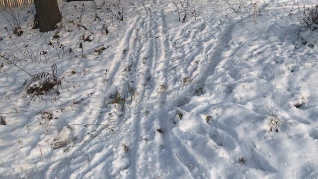 Баран стал мужчиной! За что мы любим деревню! Создали хутор в деревне! Купили дом в деревне.