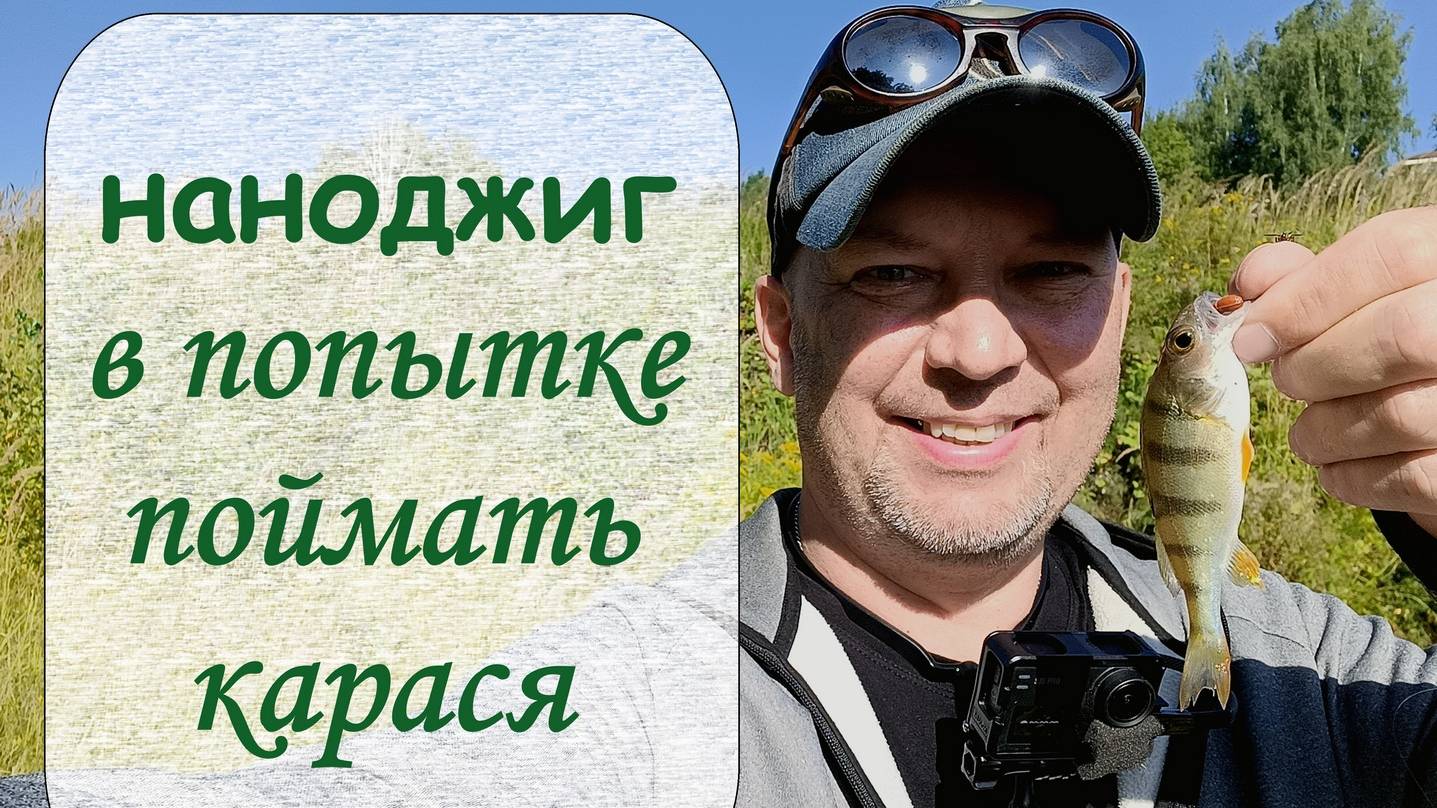Наноджиг. В попытке поймать карася смотреть онлайн