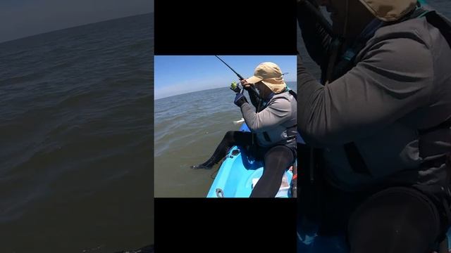 Pesca de corvina en kayak 4 | Great catch of blackdrum in kayak | seabass | kayak fishing 2022 смотреть онлайн