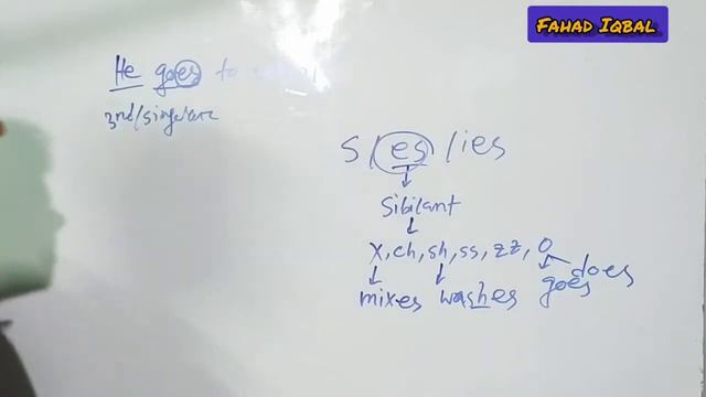Verb এর সাথে s/es/ies কখন হয় || HSC_English || Fahad Iqbal || hsc master || смотреть онлайн