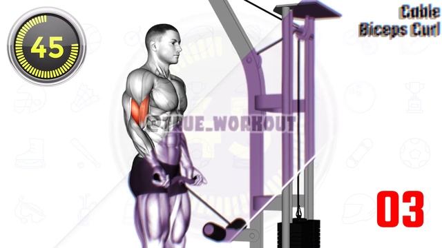 Biceps Long Head Brachialis and Biceps Short Head Workout смотреть онлайн