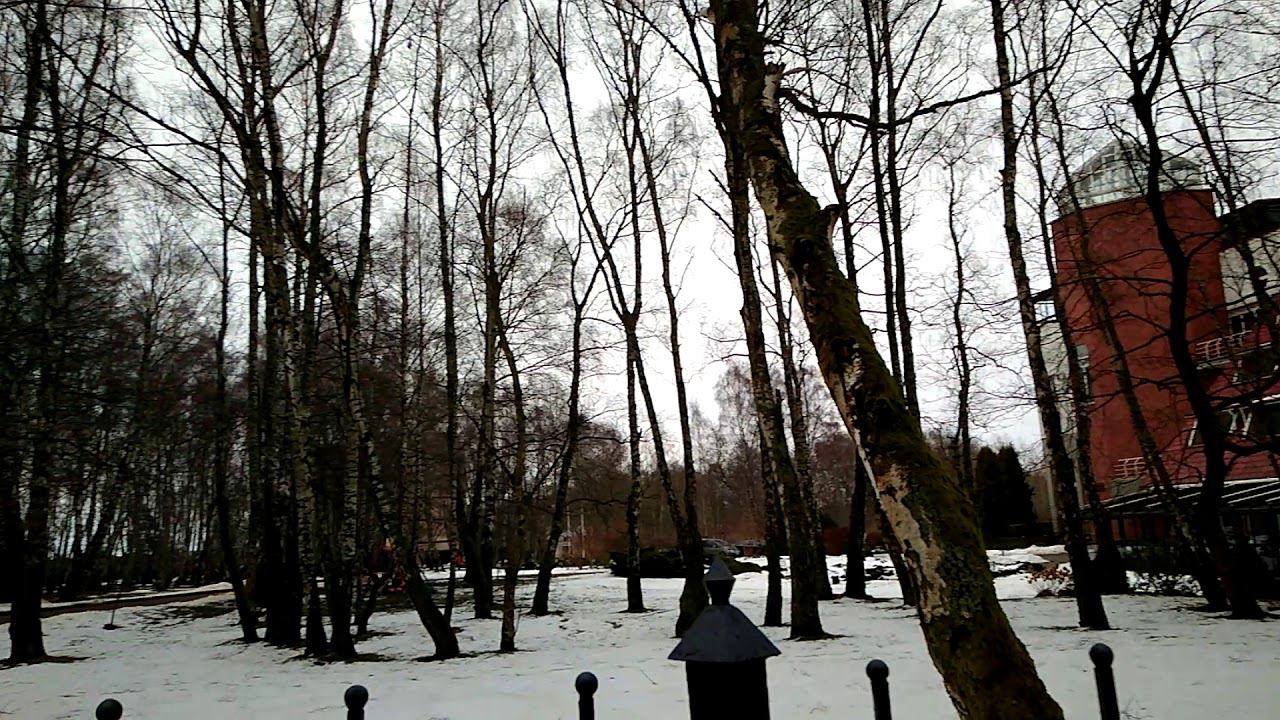 Отель "Русь", Светлогорск, март 2018, недвижимость на Балтике +7 (4012) 905400, rcn39.ru смотреть онлайн