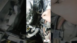 рено дастер - не видит продолжение селектора