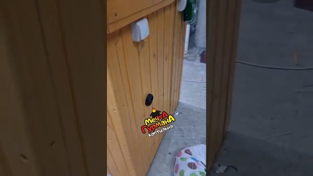 Коптильня Мечта Гурмана 2 ПРОФИ. г. Пенза смотреть онлайн