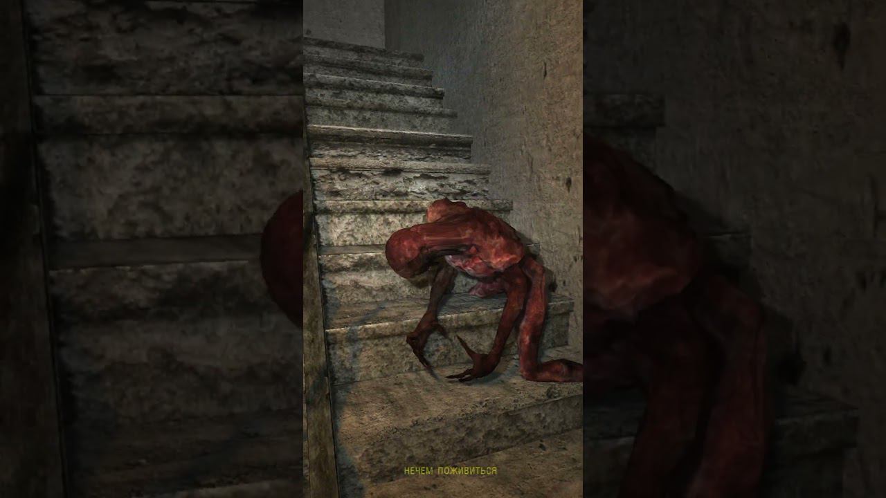 КОНВУЛЬСИИ АДСКОГО КРОВОСОСА - Сталкер ОП 2.2 Mod Pack LSC short #shorts смотреть онлайн