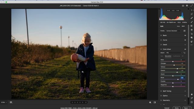Color Mixer in Camera Raw смотреть онлайн