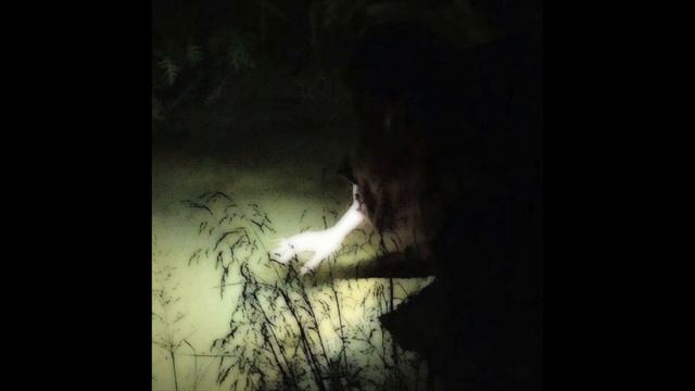 dark grunge x shoegaze x silent hill type instrumental - "mother of all" || + anticøn смотреть онлайн