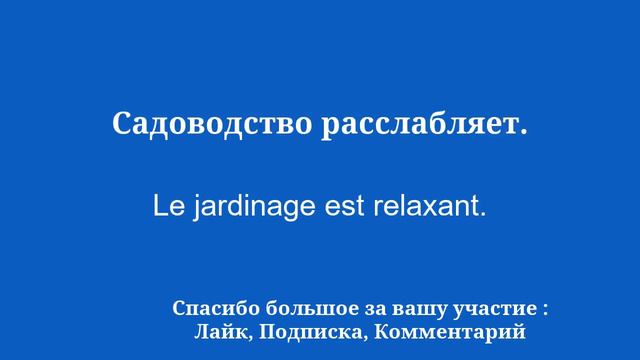 Изучайте французский язык в полном объеме: от пробуждения к равновесию смотреть онлайн