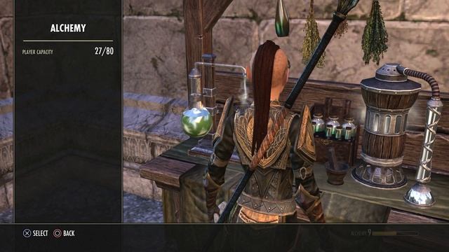 The Elder Scrolls Online: Summerset - Warden walkthrough part 20 ► 1080p 60fps - No commentary ◄ смотреть онлайн