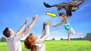 Орёл внезапно утащил ребенка. Разгадка истории кроется в рыболовной сетке #историиоживотных