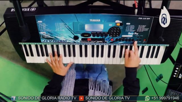 "FUNCIONES EN MI TECLADO YAMAHA PSR 225-270-340 PARTE 1 // TUTOS DANIJOSH смотреть онлайн
