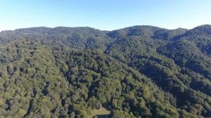 Белая речка, КБР-2020г.