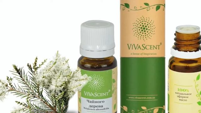 Натуральное Эфирное Масло Чайного Дерева VivaScent смотреть онлайн
