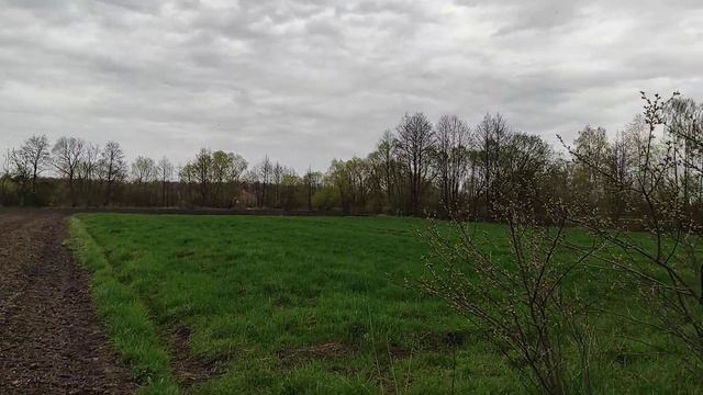 Вітаю всіх зі святом. Христос Воскрес! смотреть онлайн