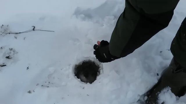 Щука на живца 2016 год зима смотреть онлайн