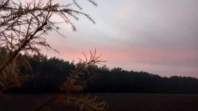 Sonet -Adam Asnyk смотреть онлайн