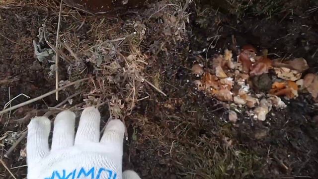 Деревенская жизнь Будни На пенсии У себя в огороде смотреть онлайн