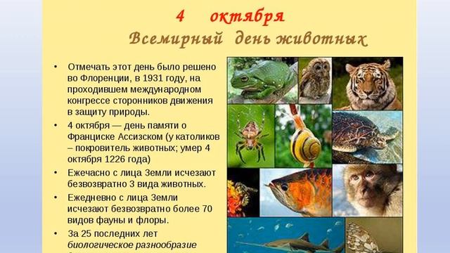 Bratya Nashi Menshie 1