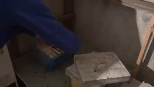 Что будет с пчёлами зимой если занести их в помещение с температурой +22 градуса. смотреть онлайн