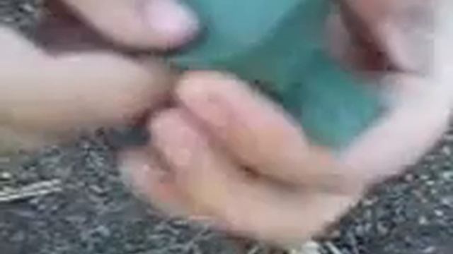 кораблик из листа камыша смотреть онлайн