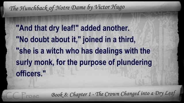 Book 08 - Chapter 1 - The Hunchback of Notre Dame by Victor Hugo - The Crown Changed into a Dry Lea смотреть онлайн