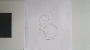 Как легко нарисовать кота