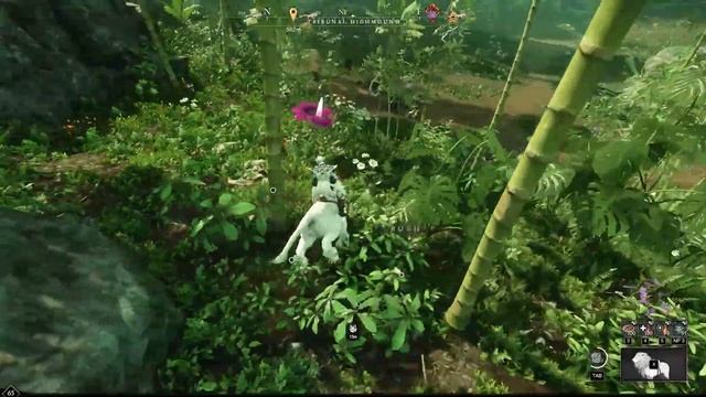 АРТЕФАКТНЫЙ ЛУК, БЕСПЛАТНЫЙ КРАФТ И ПРОДОЛЖЕНИЕ EMPYREAN FORGE: АНОНС ОБНОВЛЕНИЯ 4 СЕЗОНА NEW WORLD