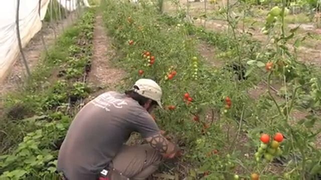 Farm Monitor - July 9, 2022 смотреть онлайн